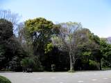yoyogi/img_1412.jpg