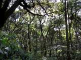 yoyogi/img_1417.jpg