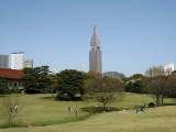 yoyogi/img_1430.jpg