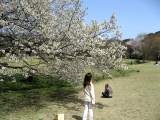 yoyogi/img_1440.jpg