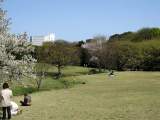 yoyogi/img_1442.jpg
