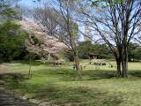 yoyogi/img_1443.jpg