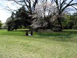 yoyogi/img_1445.jpg
