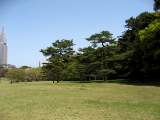 yoyogi/img_1446.jpg
