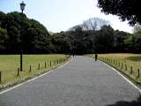yoyogi/img_1455.jpg