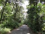 yoyogi/img_1459.jpg