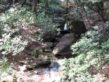 yoyogi/img_1464.jpg