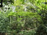 yoyogi/img_1467.jpg