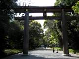 yoyogi/img_1480.jpg