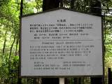 yoyogi/img_1481.jpg