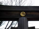 yoyogi/img_1484.jpg