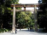 yoyogi/img_1486.jpg