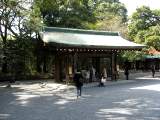 yoyogi/img_1491.jpg