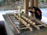 yoyogi/img_1495.jpg