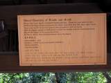 yoyogi/img_1496.jpg