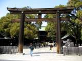 yoyogi/img_1497.jpg