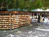yoyogi/img_1506.jpg