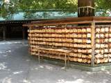 yoyogi/img_1507.jpg