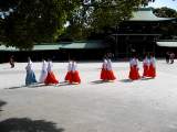 yoyogi/img_1513.jpg