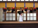 yoyogi/img_1520.jpg