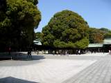 yoyogi/img_1525.jpg