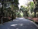 yoyogi/img_1530.jpg